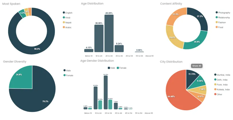 View influencer & influencers audience insightss